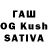 Бошки марихуана White Widow Aslaev Raibek