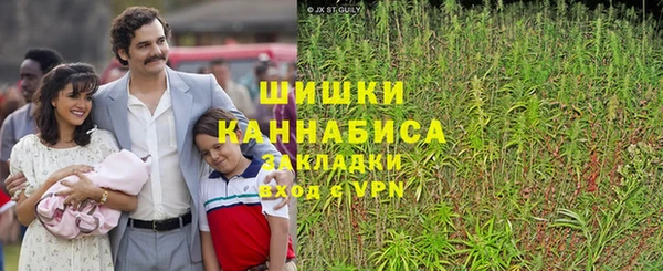 молекула духа Алзамай