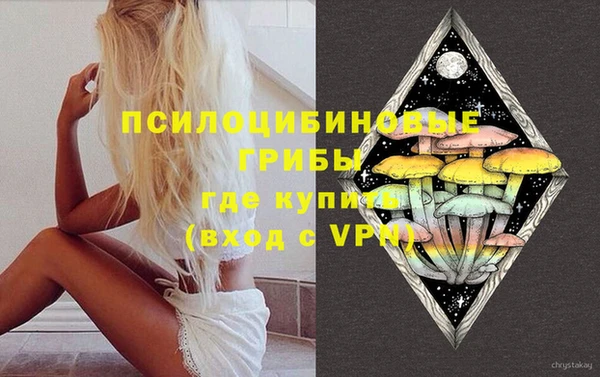 молекула духа Алзамай