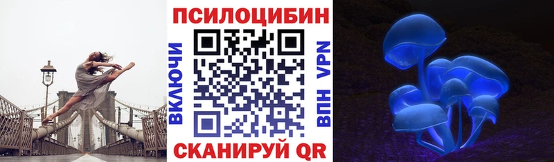 Галлюциногенные грибы Psilocybe  хочу наркоту  Закаменск 