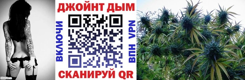 Конопля семена  купить  сайты  Закаменск 